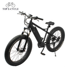 Electric Chopper E Bike Fat Bike Federgabel